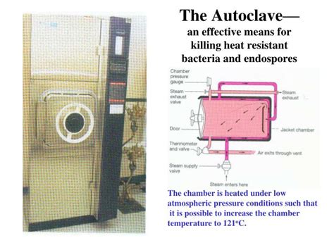 does autoclaving kill bacterial spores|bacterial spore killing problems.